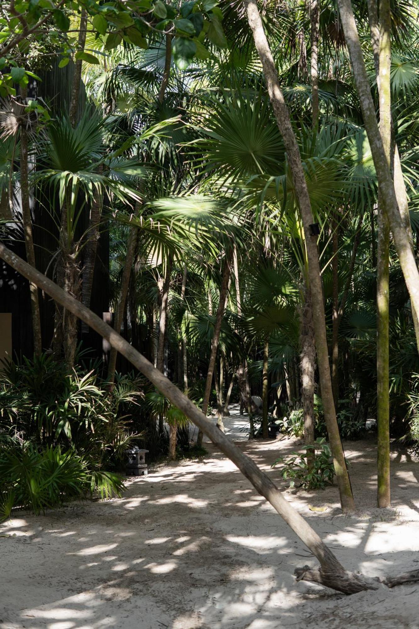 Umi Tulum Hotel Екстериор снимка