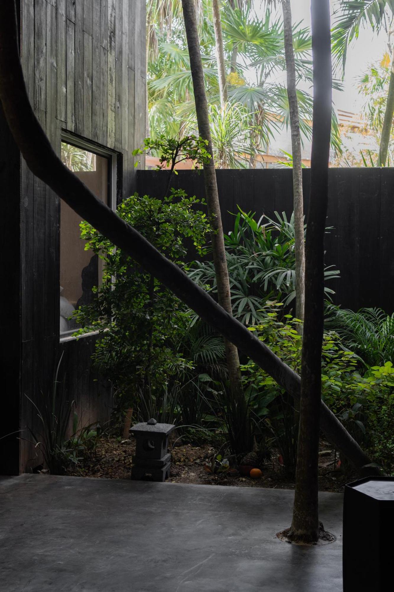 Umi Tulum Hotel Екстериор снимка