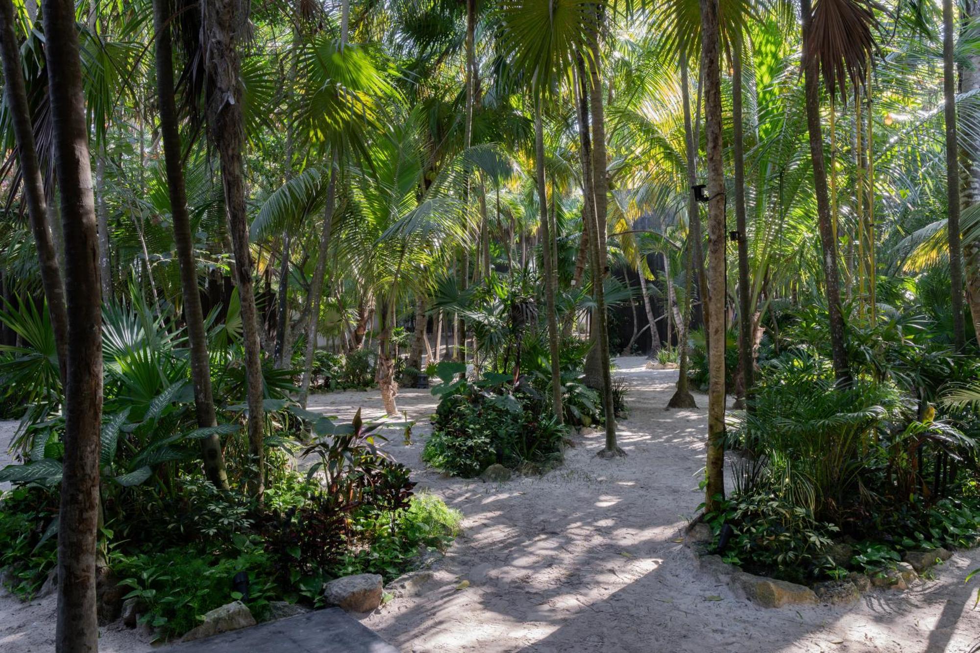 Umi Tulum Hotel Екстериор снимка