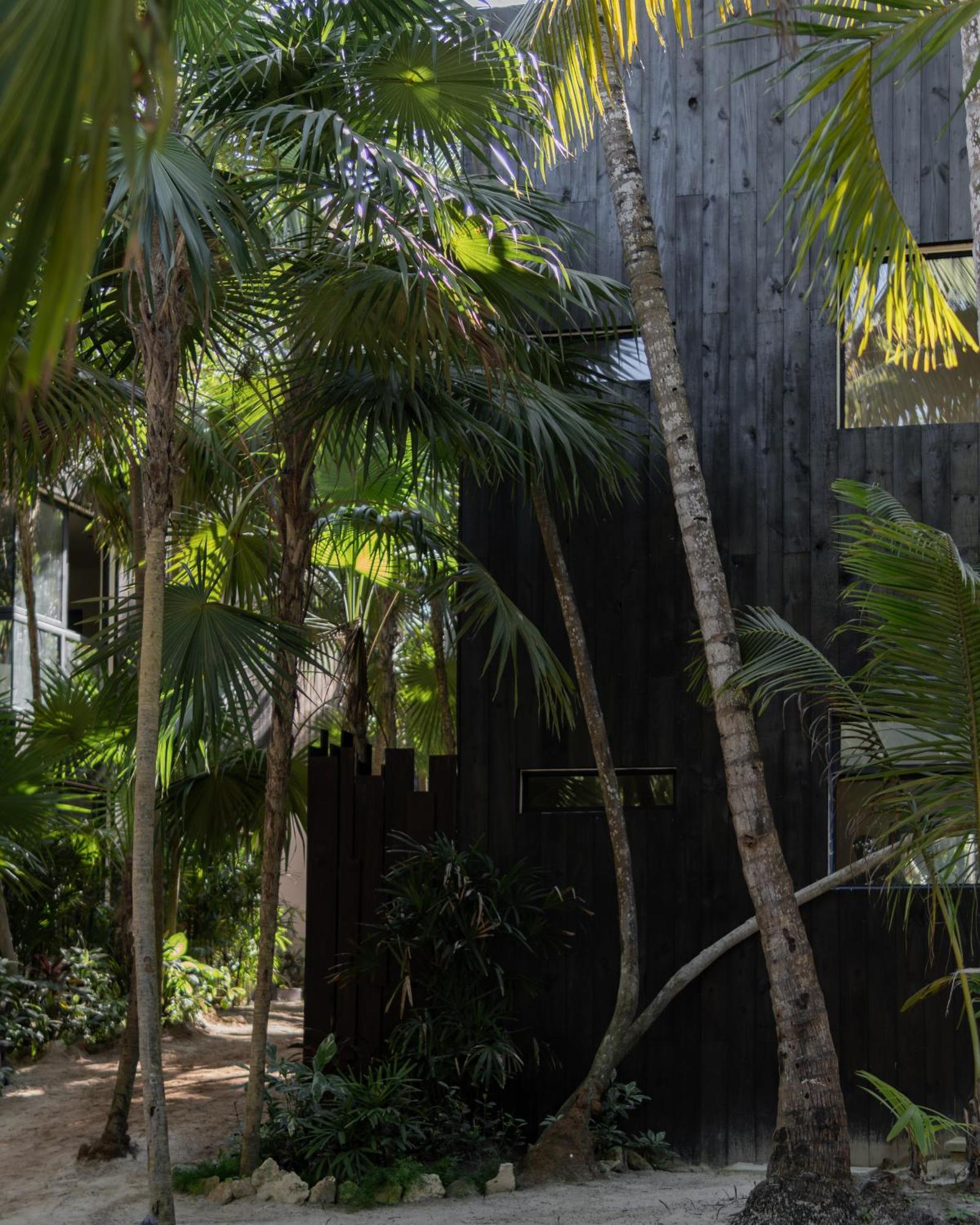 Umi Tulum Hotel Екстериор снимка
